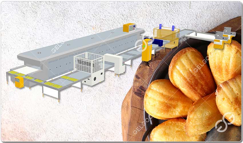 Étapes Pour Démarrer Une Entreprise De Madeleine En Algérie