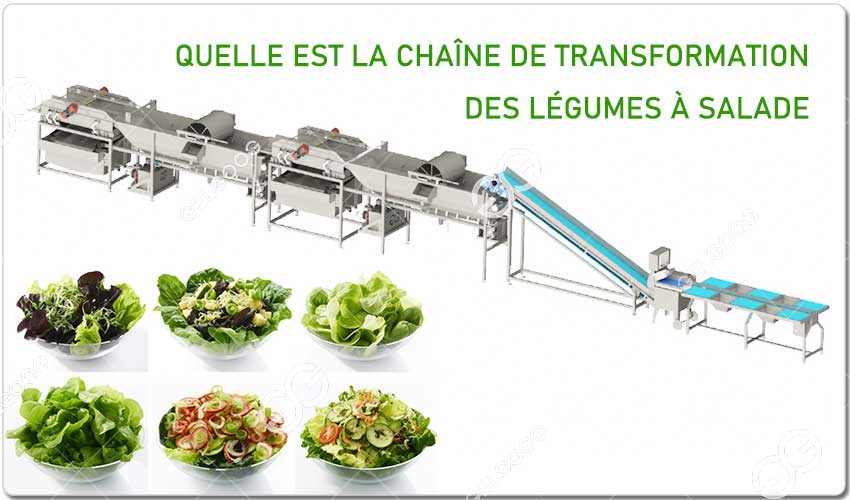 Quelle Est La Chaîne De Transformation Des Légumes À Salade.jpg