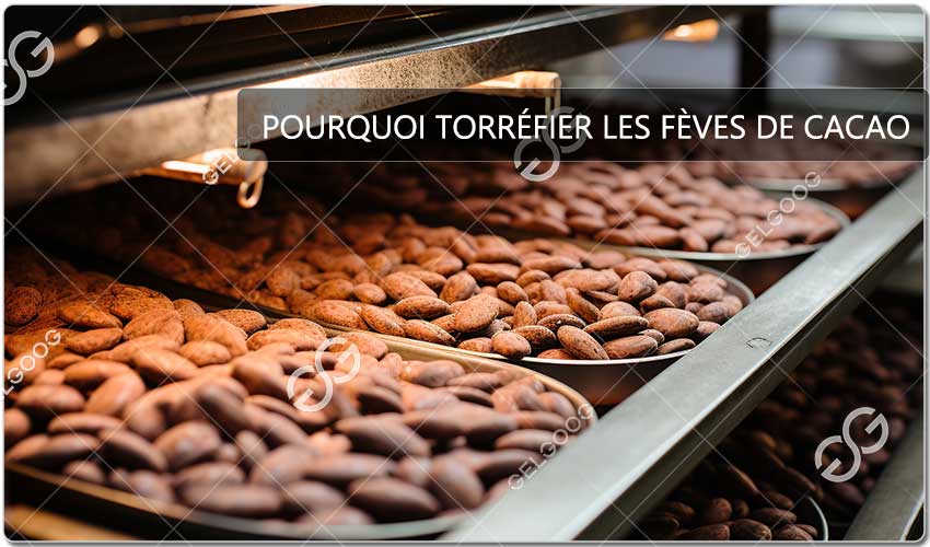 Pourquoi Torréfier Les Fèves De Cacao.jpg
