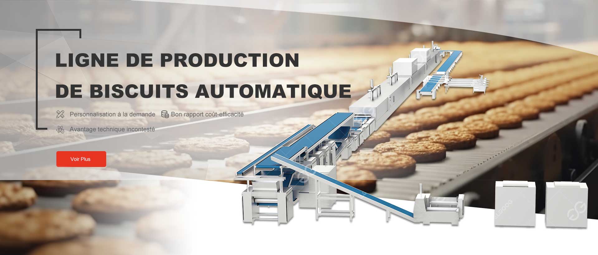 Solution De Biscuit