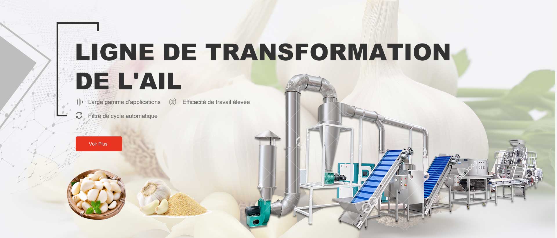 Solution De Transformation De L'Ail