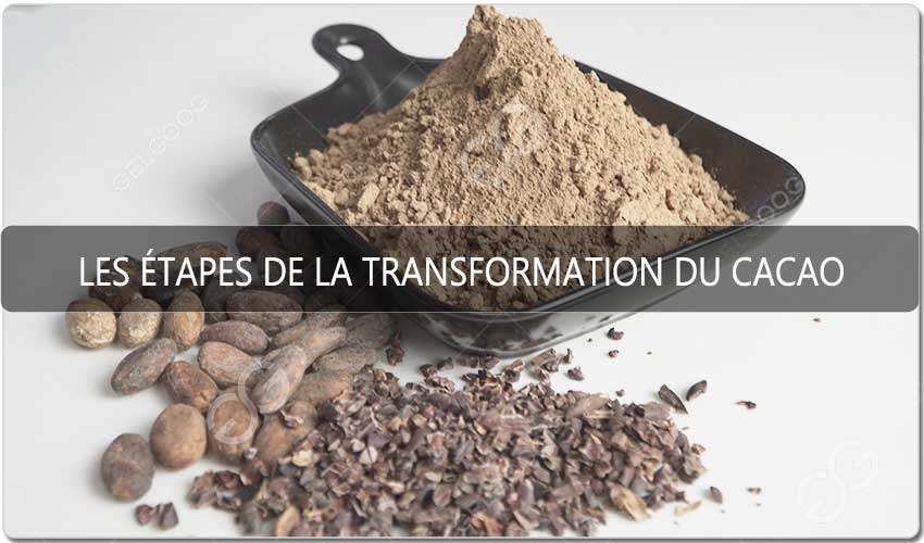 Quelles Sont Les Étapes De La Transformation Du Cacao.jpg Quelles Sont Les Étapes De La Transformation Du Cacao.jpg