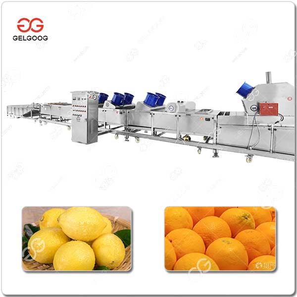 Ligne De Transformation Des Agrumes Fruits GELGOOG.jpg