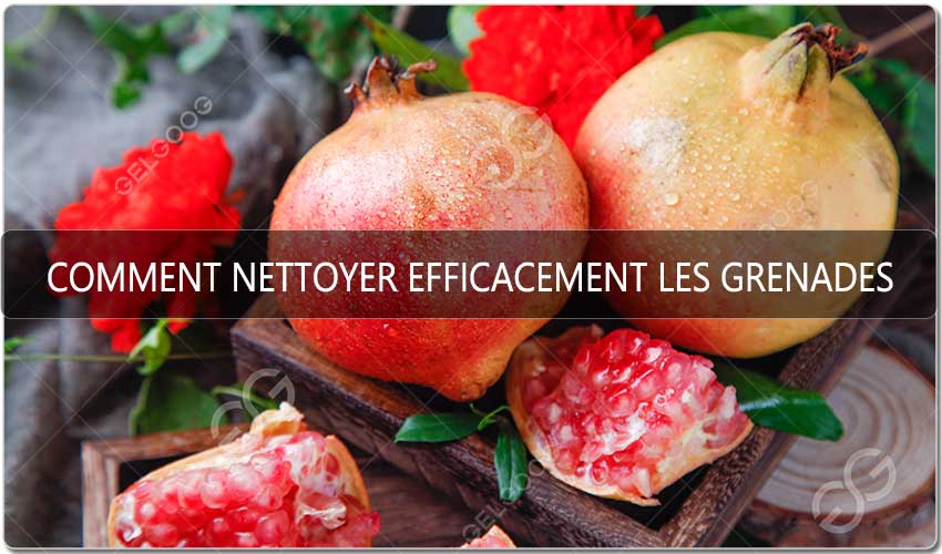 Comment Nettoyer Efficacement Les Grenades - GELGOOG.jpg