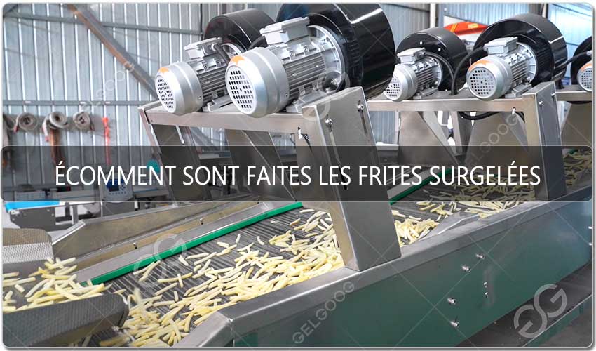 Comment Sont Faites Les Frites Surgelées - GELGOOG