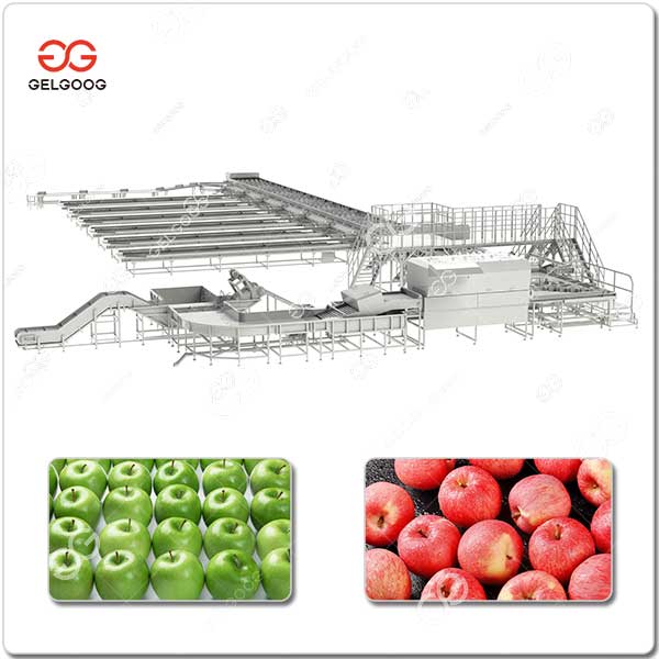 Machines De Transformation De Pommes.jpg