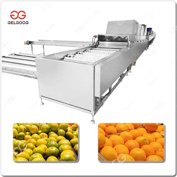 Unité De Lavage Et De Tri Des Tangerines.jpg