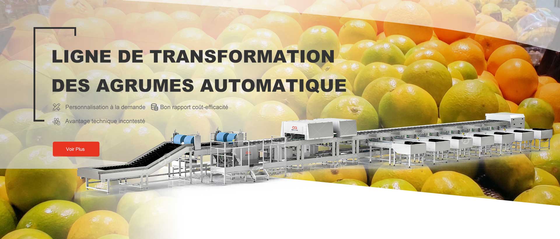 Ligne De Transformation Des Agrumes