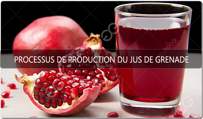 Processus De Production Du Jus De Grenade - GELGOOG