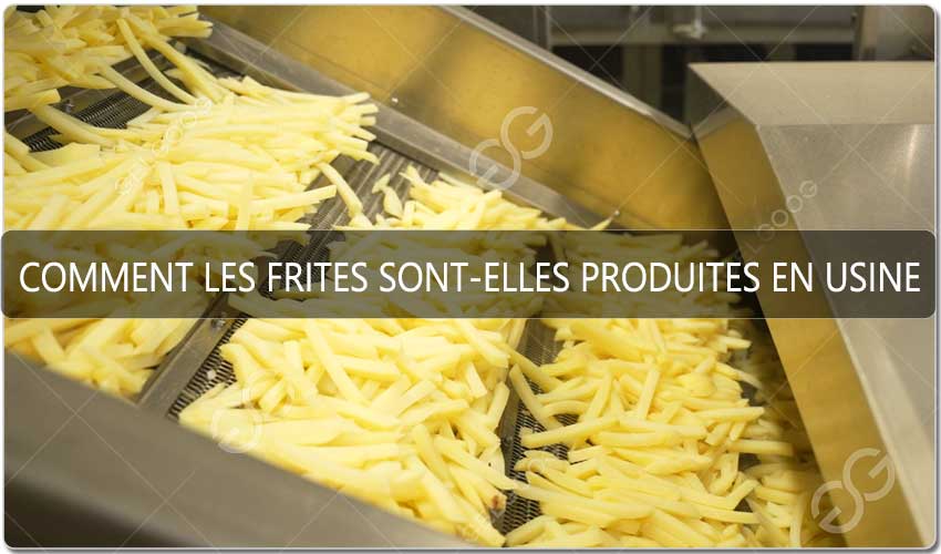 Comment Les Frites Sont-Elles Produites En Usine.jpg Comment Les Frites Sont-Elles Produites En Usine.jpg