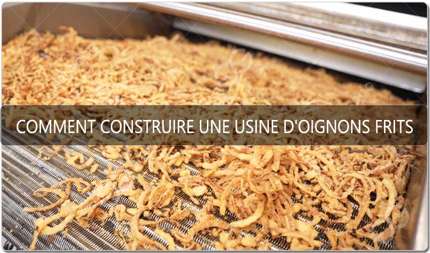 Comment Construire Une Usine D'Oignons Frits.jpg