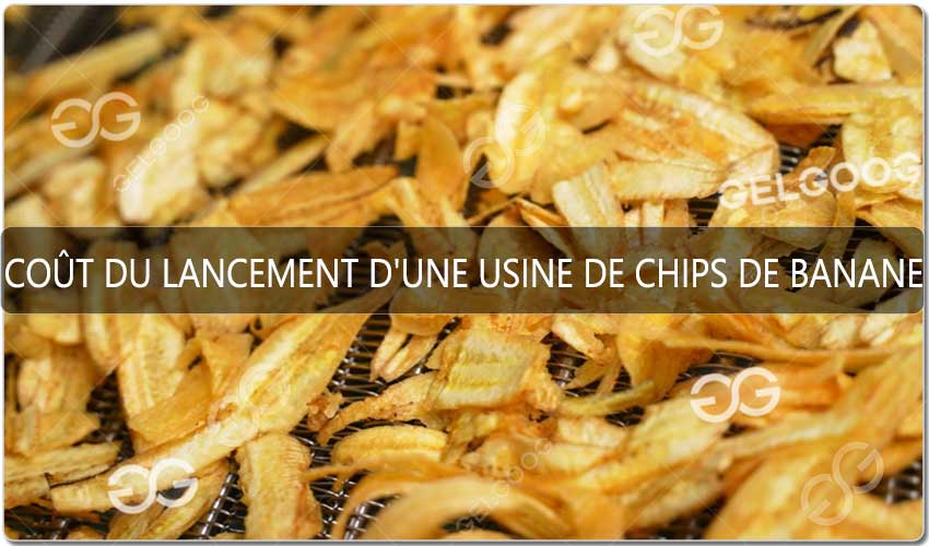 Coût Du Lancement D'Une Usine De Chips De Banane