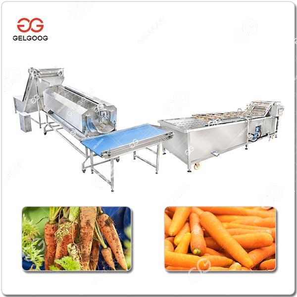 Unité De Transformation De Carottes Fraîches GELGOOG.jpg