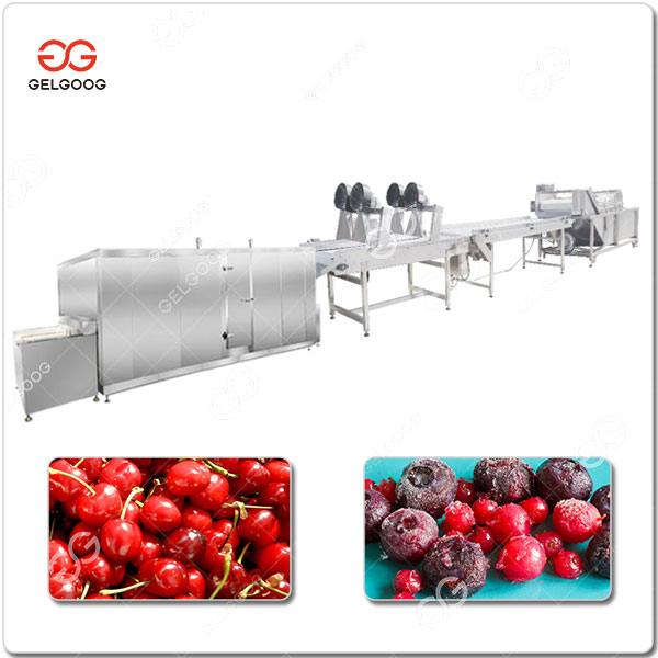 Ligne De Transformation De Cerises Surgelées GELGOOG.jpg