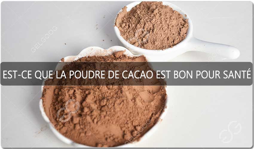 Est-Ce Que La Poudre De Cacao Est Bon Pour La Santé