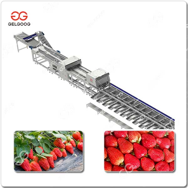 Machine De Tri Des Fraises Automatique Avec Technologie NIR.jpg