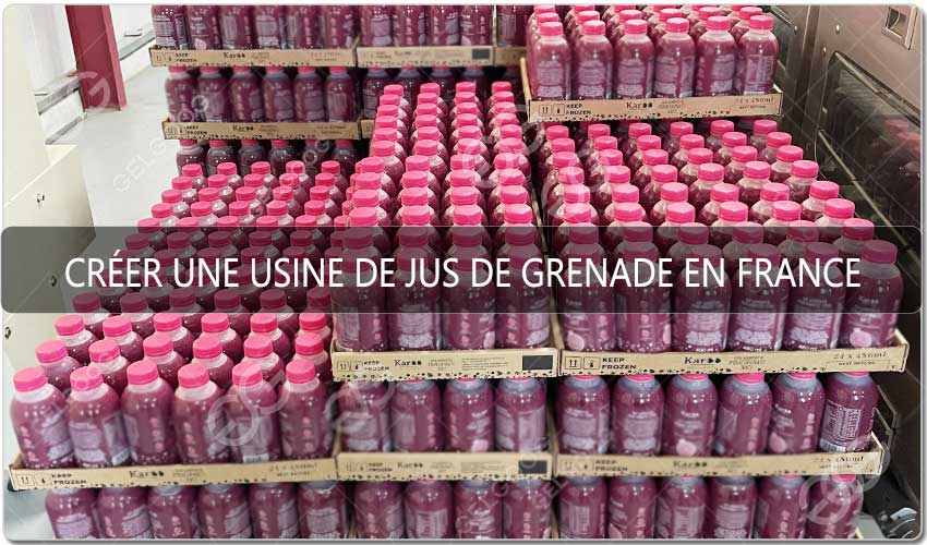 Créer Une Usine De Jus De Grenade En France : Guide Complet