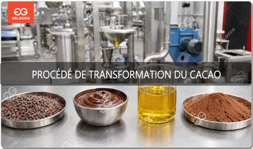 De Quel Procédé De Transformation Du Cacao Avez-Vous Besoin.jpg