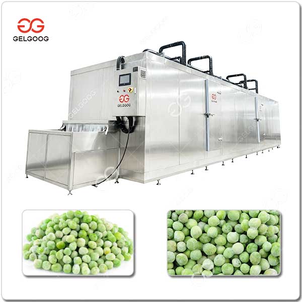 Machine De Surgélation Des Pois Verts IQF GELGOOG.jpg