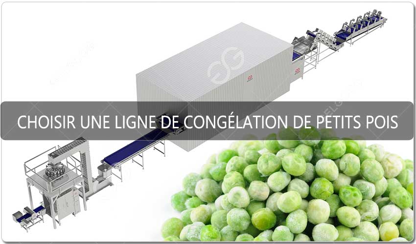 Choisir Une Ligne De Congélation De Petits Pois Pour L'Algérie.jpg Choisir Une Ligne De Congélation De Petits Pois Pour L'Algérie.jpg
